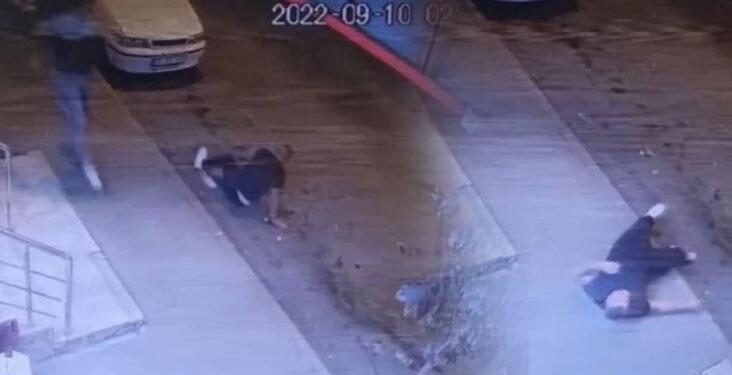 İstanbul’da dehşet anları kamerada: Saldırıda vurulan adam yere yığıldı