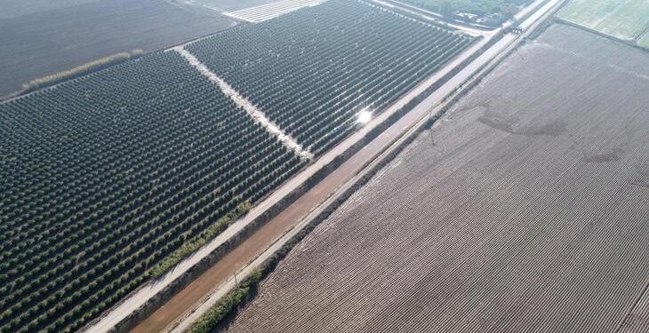37 tarım arazisi satışa çıkarıldı